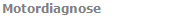 Motordiagnose